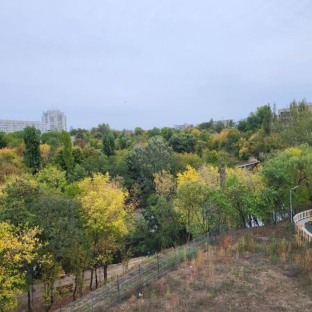 Green Tam - Nature Heaven - Private Parking 부쿠레슈티 외부 사진